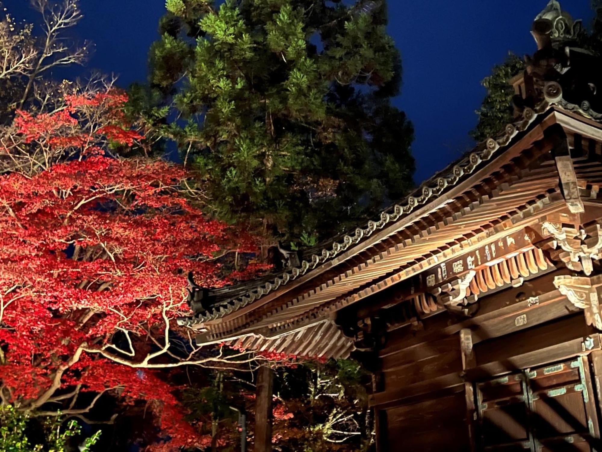 Vessel Inn Shigamoriyama Station Kültér fotó